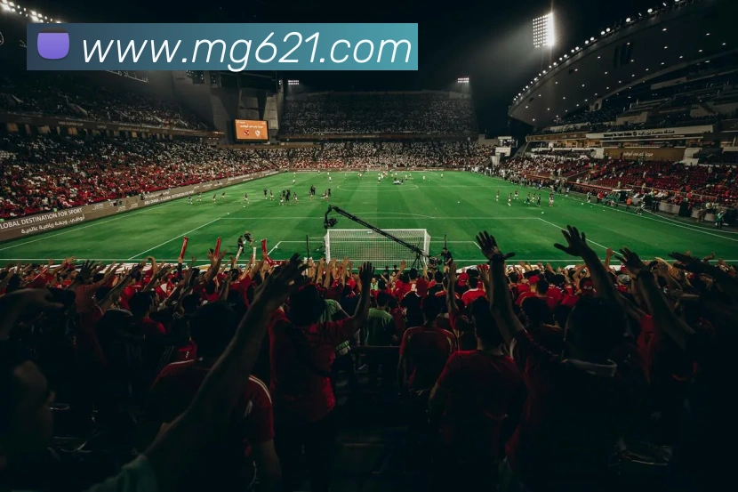 MG娱乐平台官网品牌故事