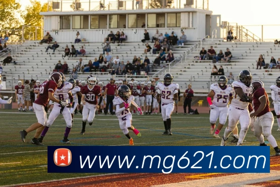 MG娱乐平台官网服务体系