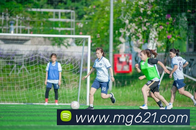 MG娱乐平台官网APP 体育赛事宣传图